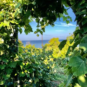 https://apartments-blue-paradise.albaniahotels.org